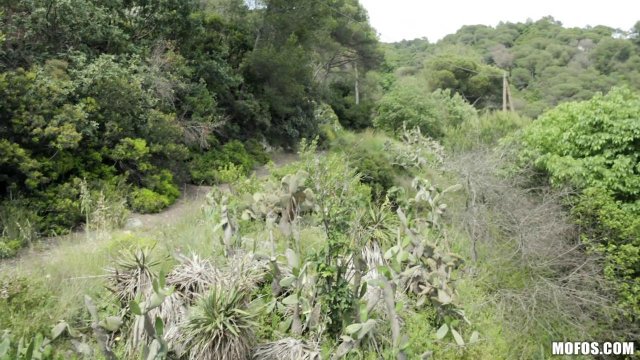 Превью Парень уговорил незнакомку на быстрый секс на улице и минет № 35101